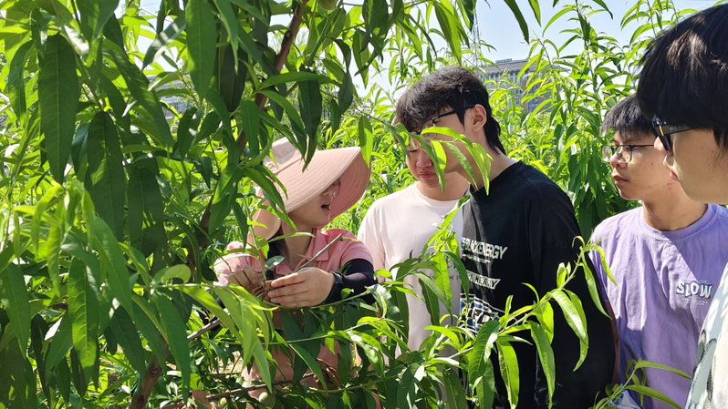 911dcdaf-42cf-4f28-aebf-7fd45c8148e0 911dcdaf-42cf-4f28-aebf-7fd45c8148e0