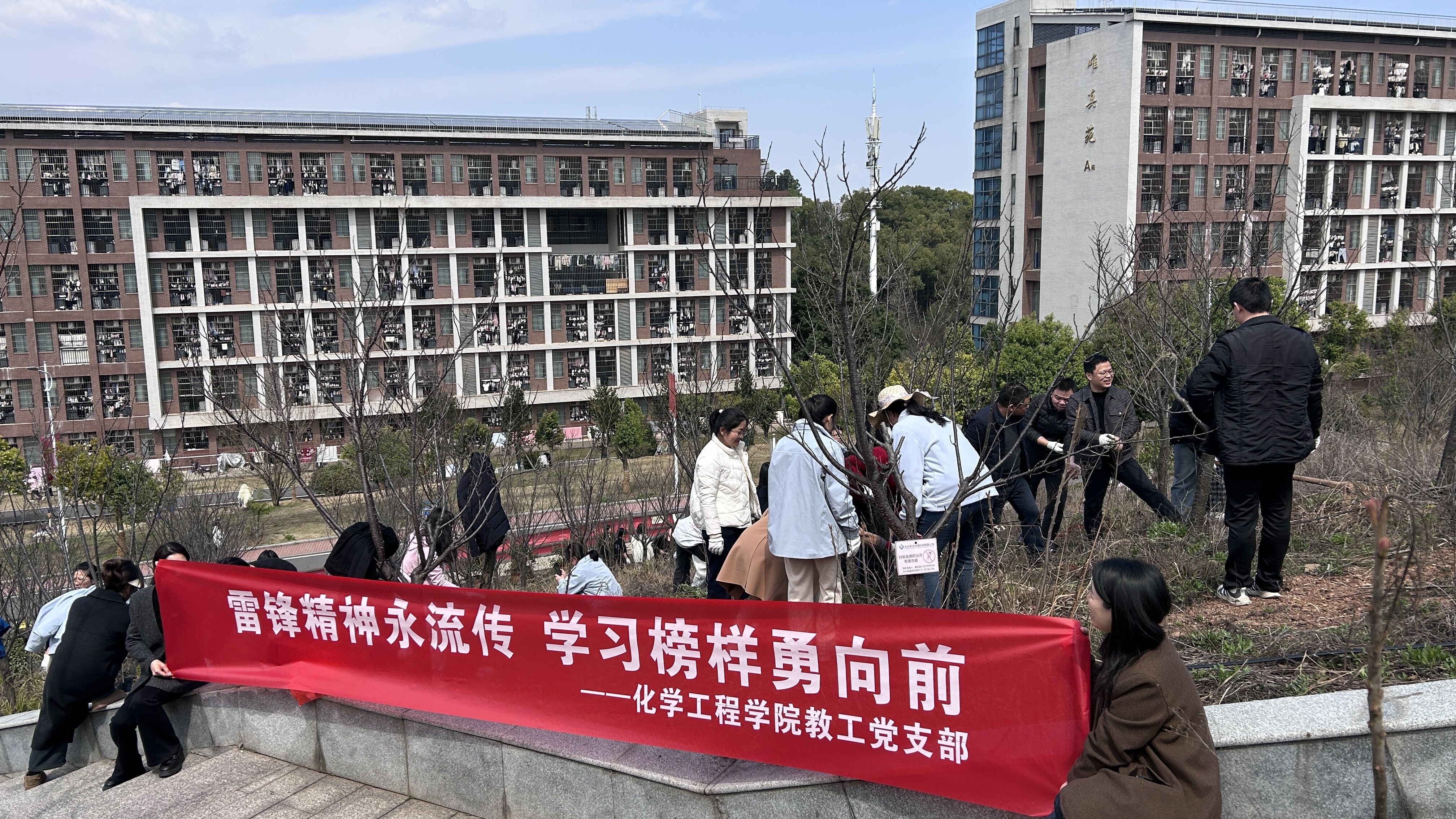 教工党支部深入学习雷锋精神，开展“学习雷锋榜样力量  绿化除草美化校园”主题党日活动