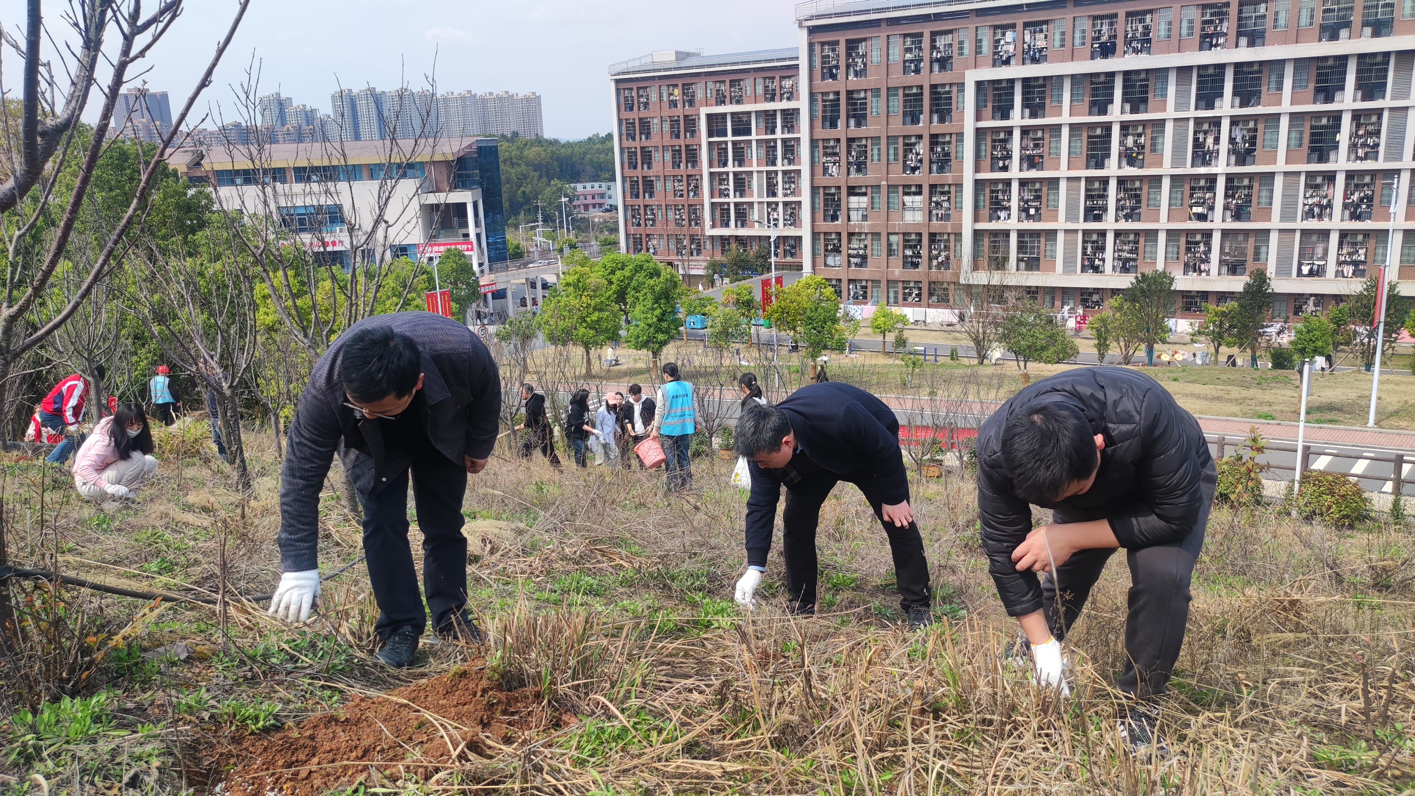 教工党支部党员集体除草掠影