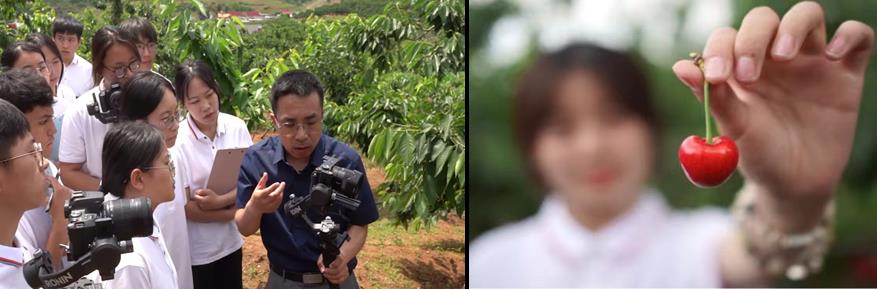 图2—党员教师谭亚先指导学生为山海大樱桃产业电商拍摄推广视频