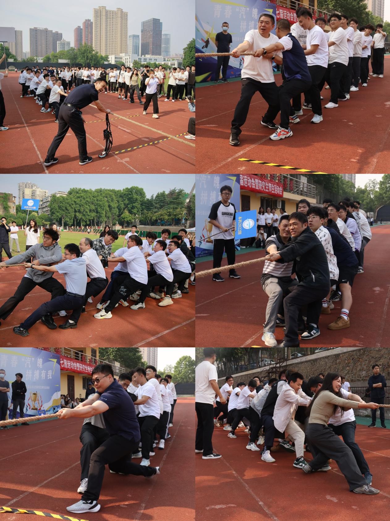 图片3