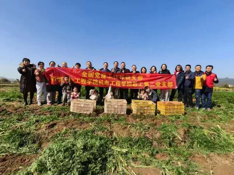 202501胡萝卜小院横幅 202501胡萝卜小院横幅
