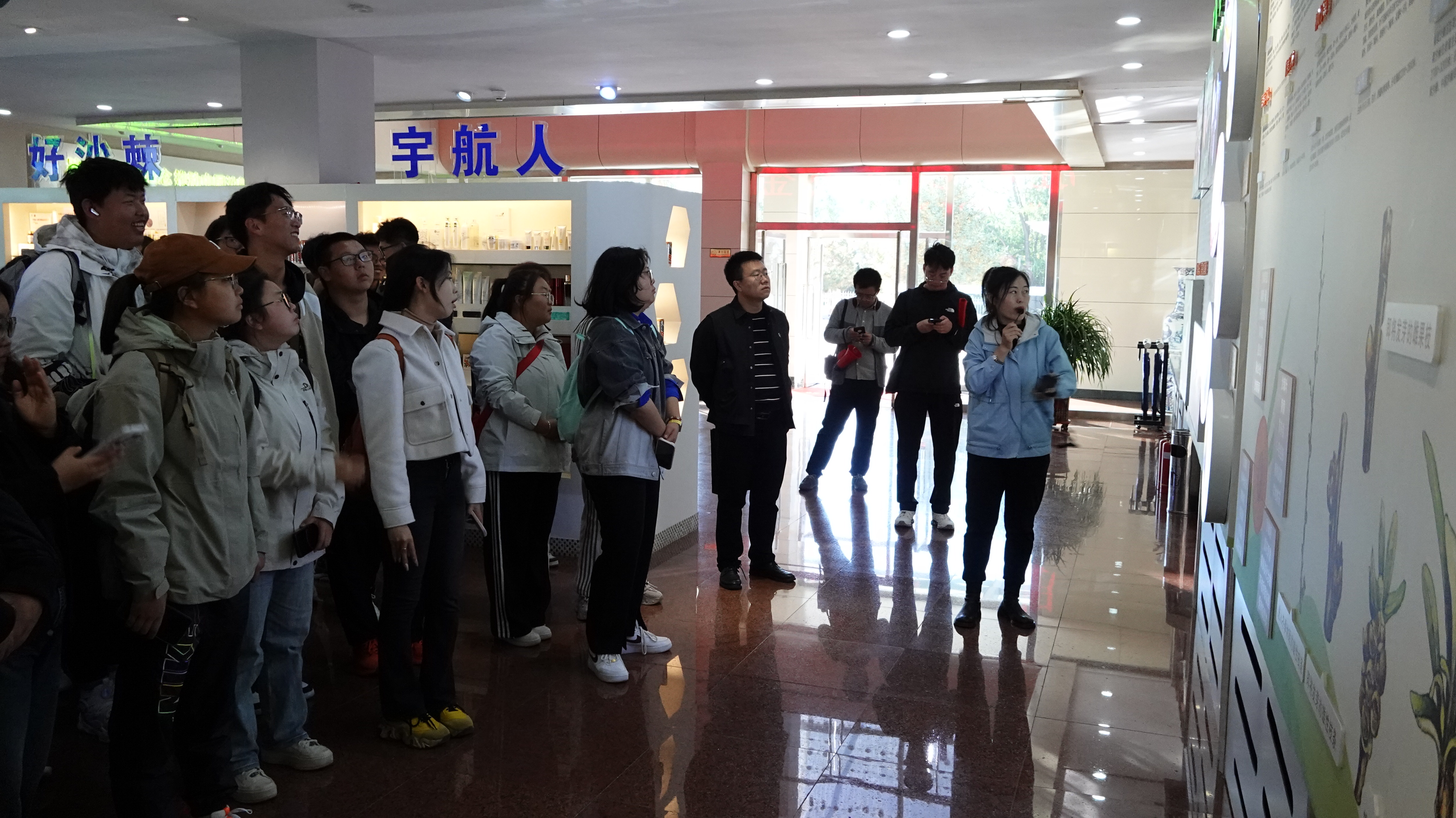 DSC00031(1)