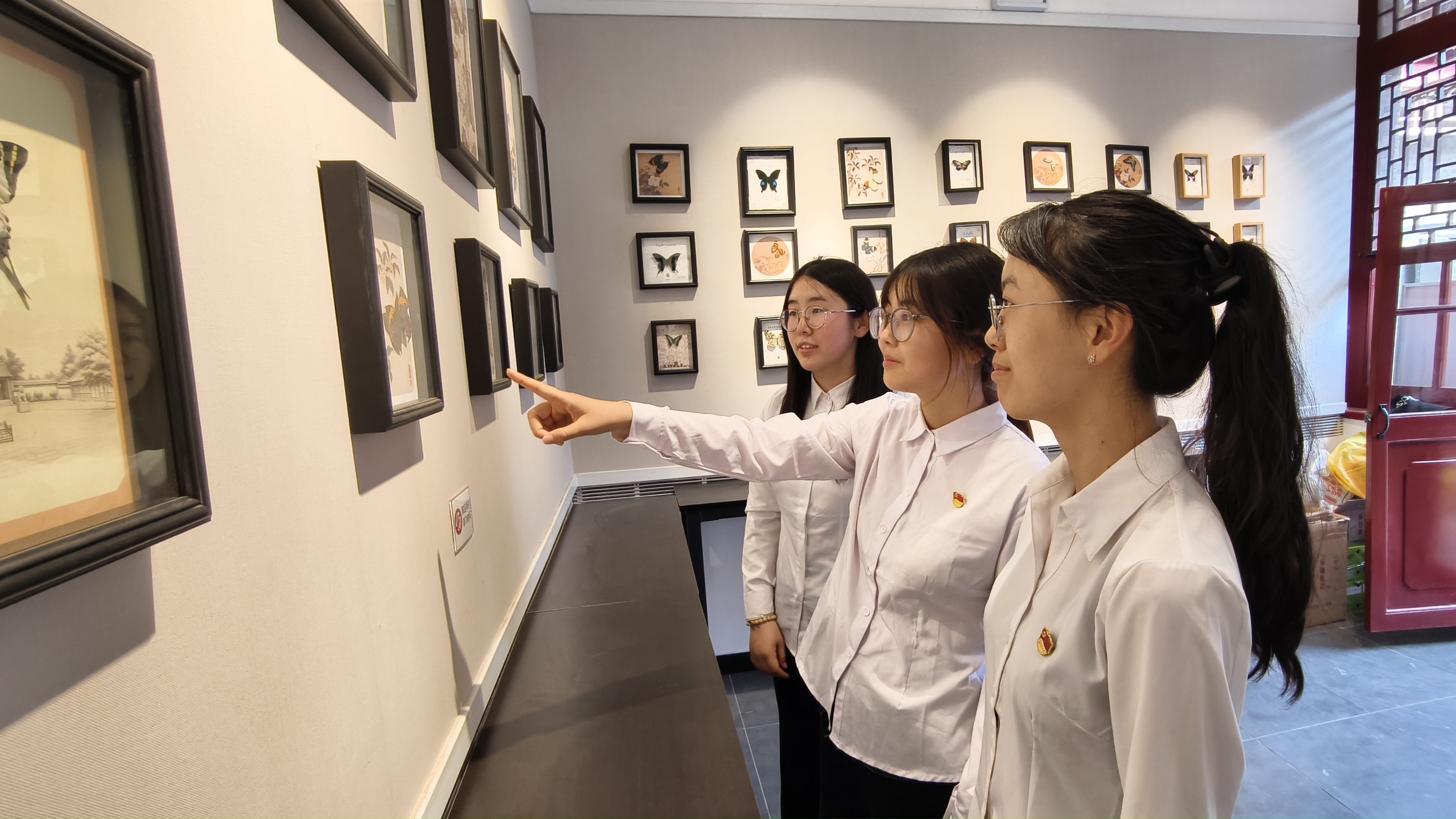 IMG_20250529_164414 IMG_20250529_164414