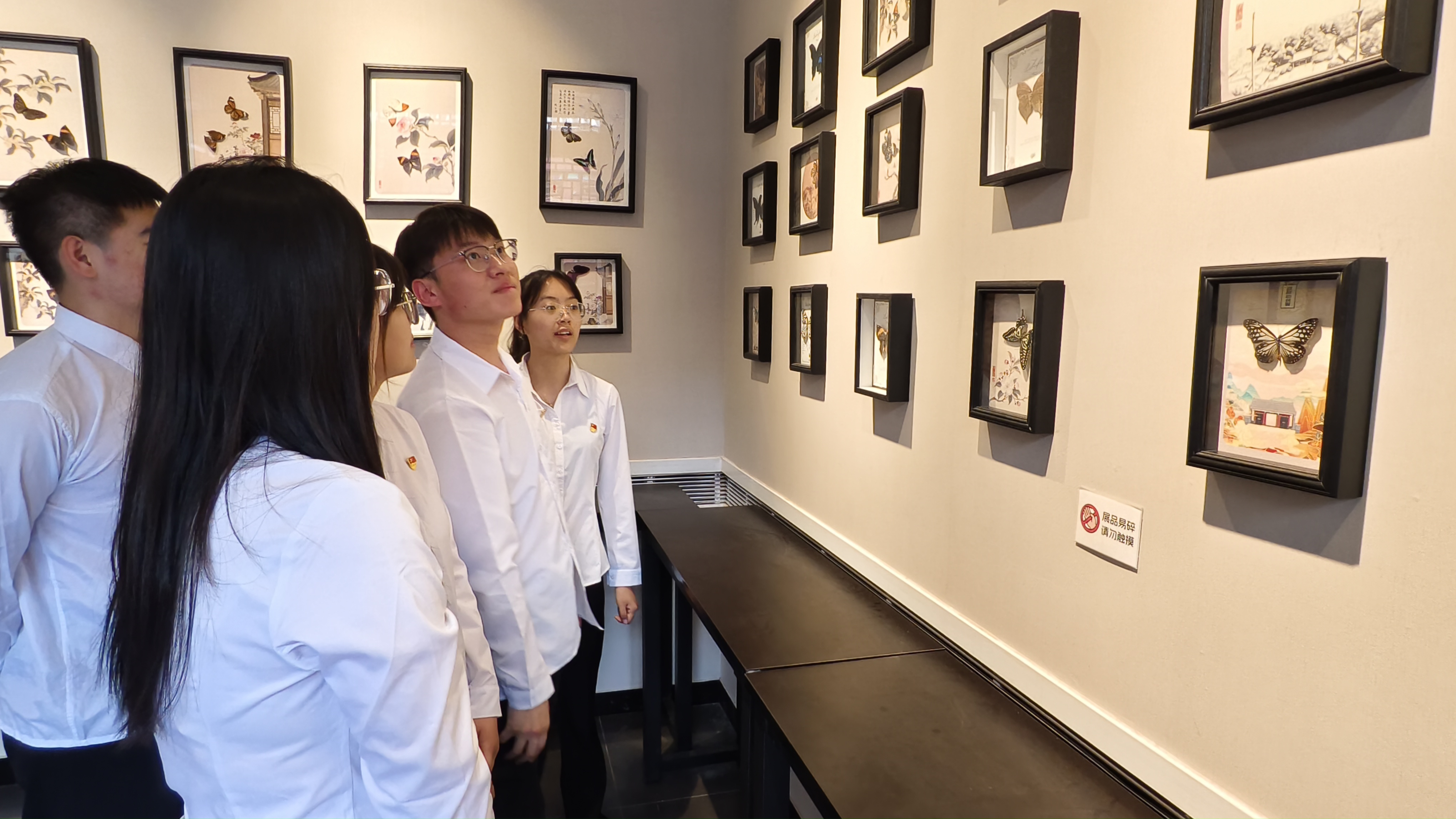 IMG_20250529_164253 IMG_20250529_164253