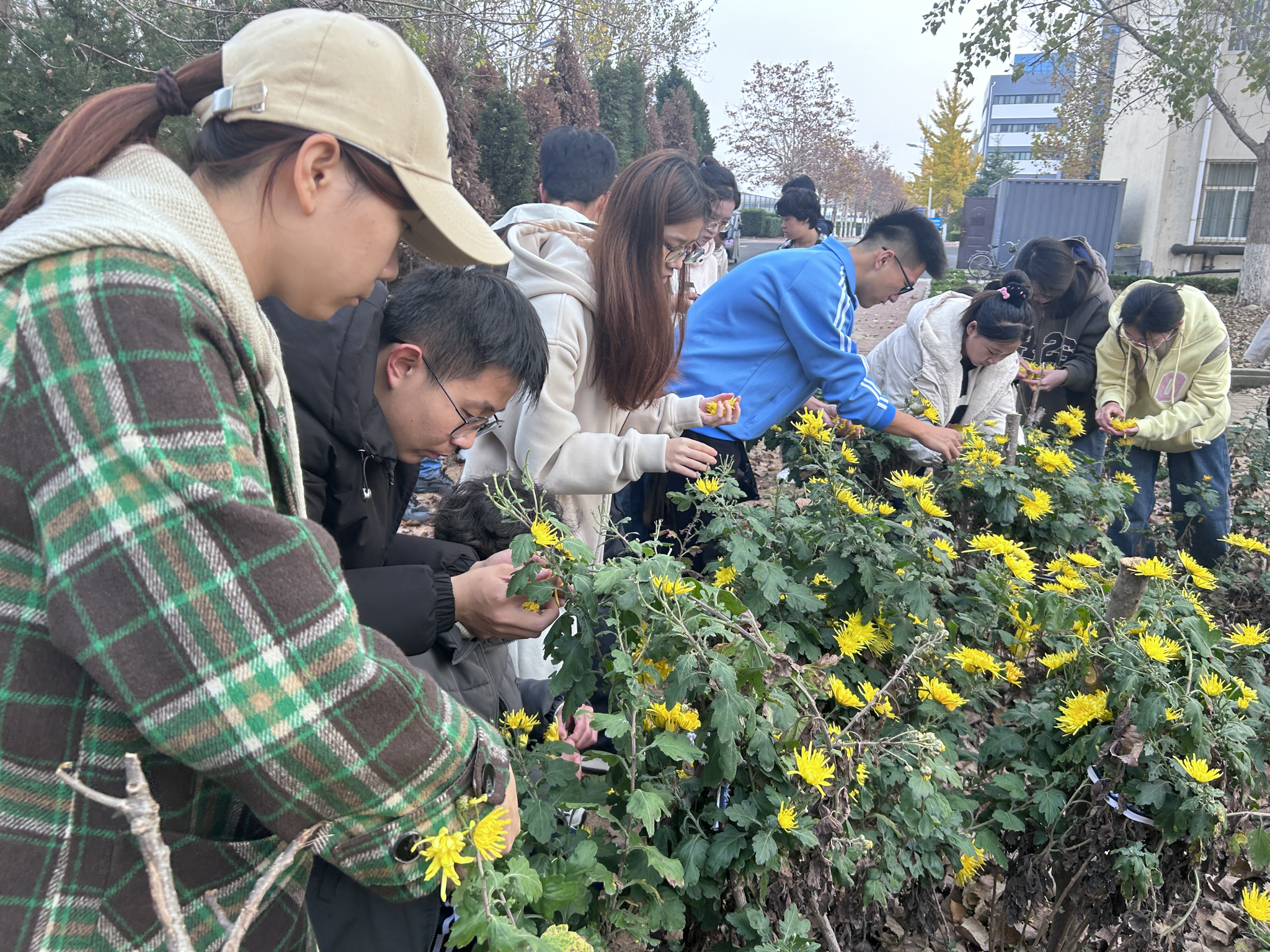 图片4