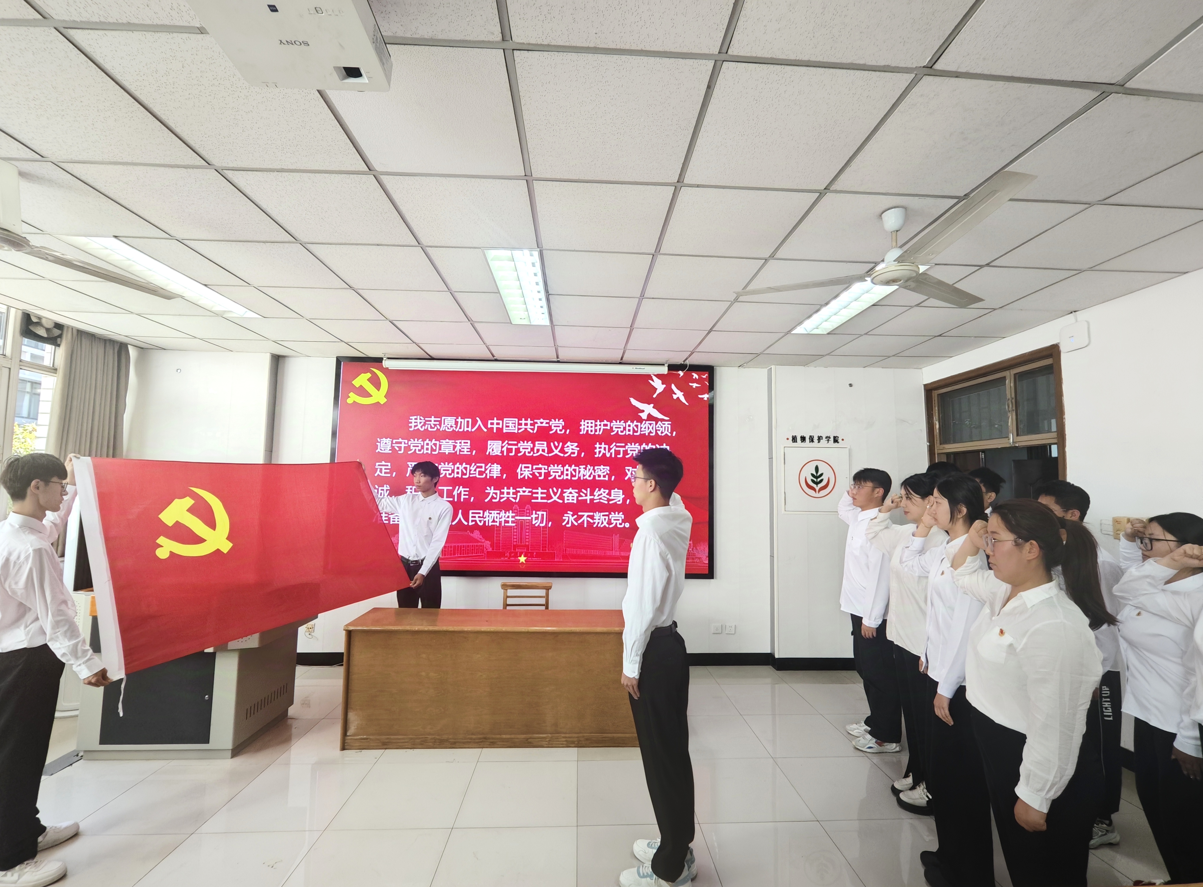 微信图片_20250605115232 微信图片_20250605115232