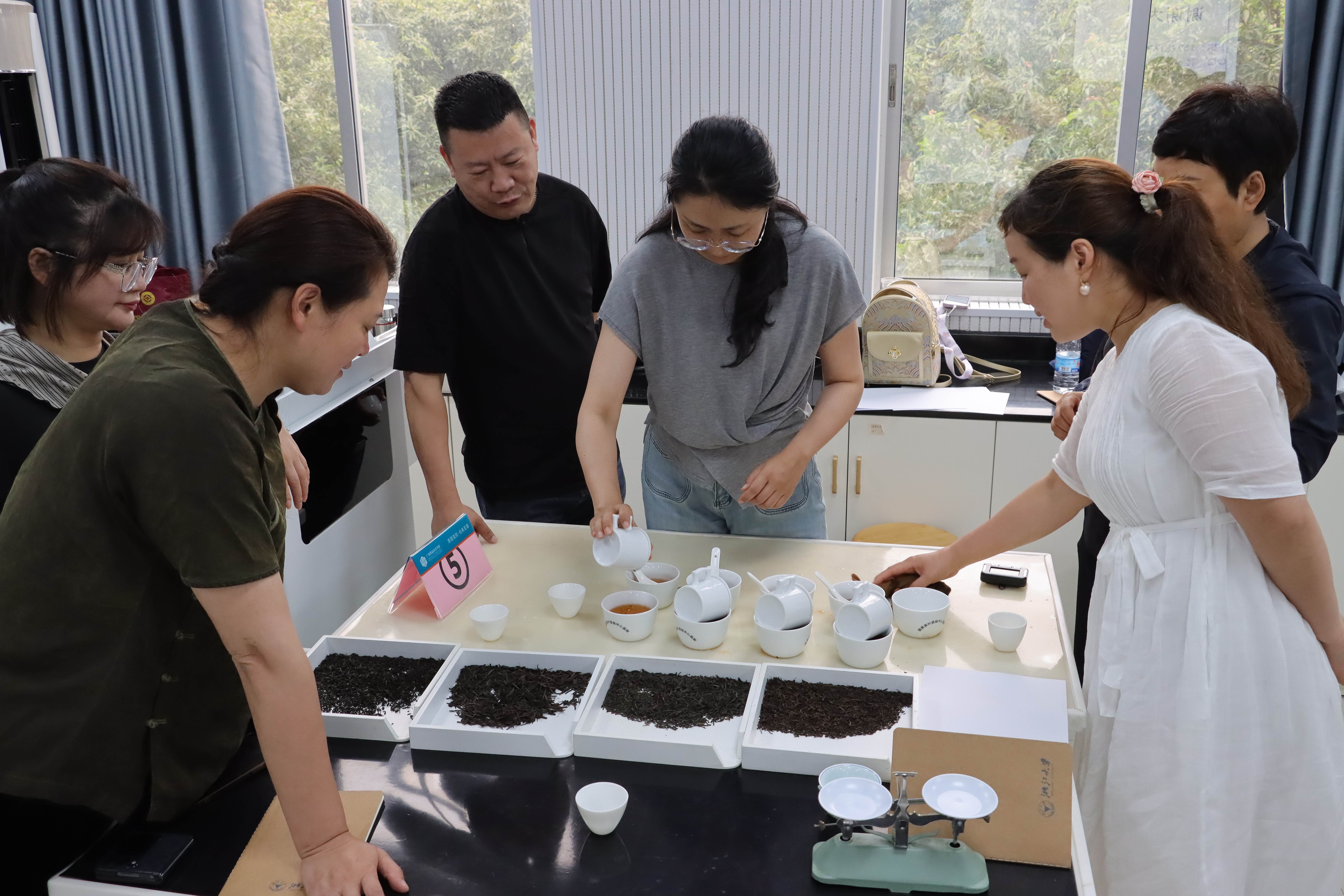 图2 六堡茶审评现场(1)