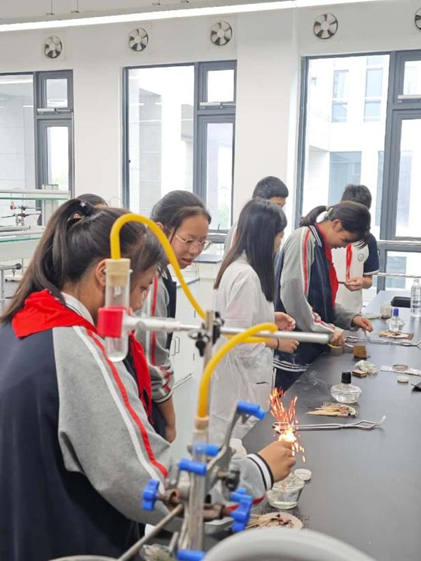 34fe7644b04df75e9e47985f7c3c2da6