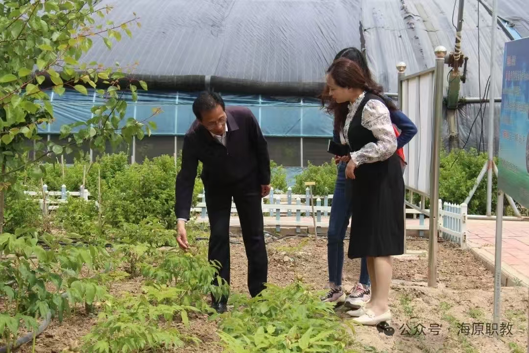 微信图片_20250606205446 微信图片_20250606205446