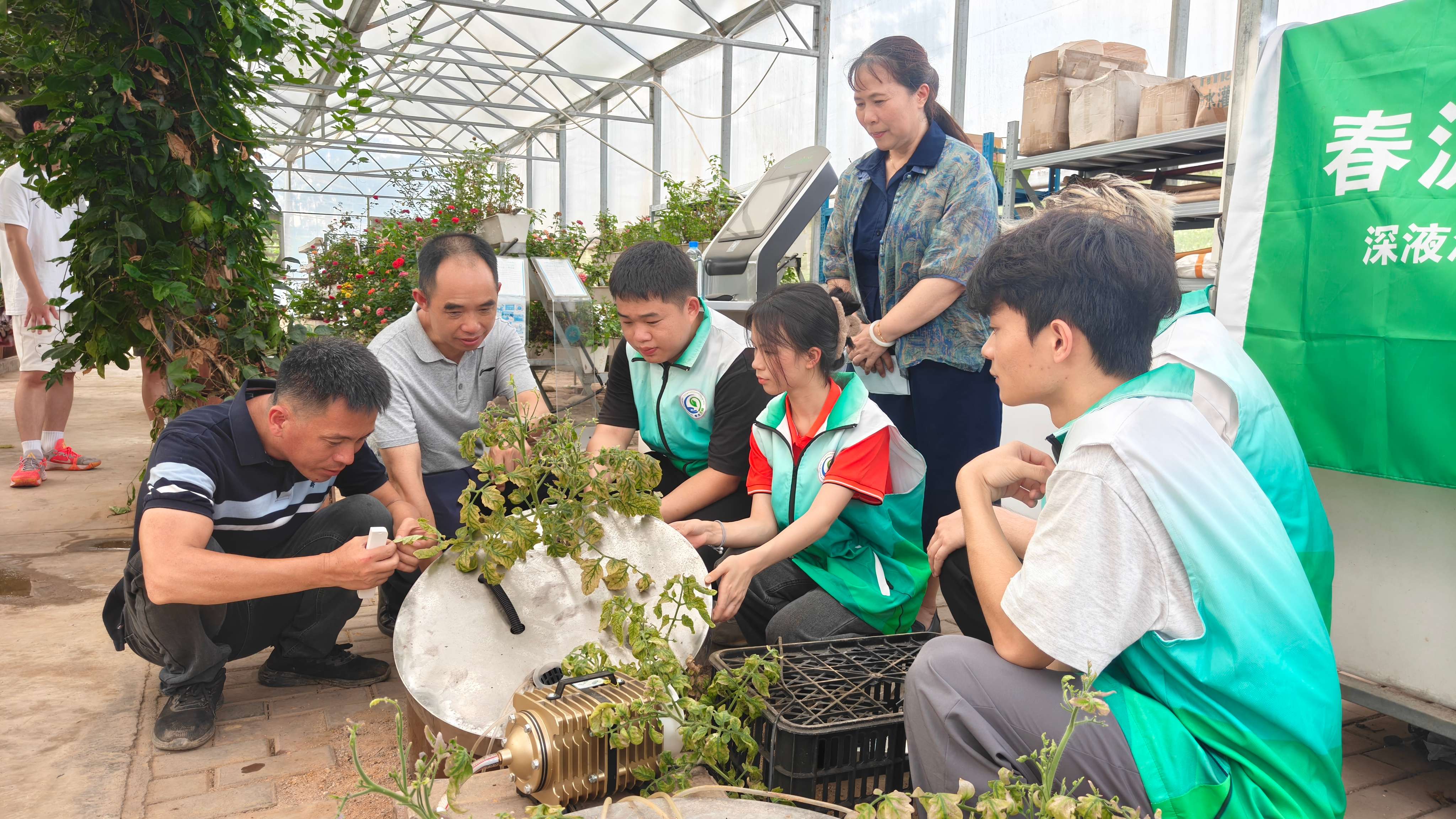 师生研讨DFT深液流无土栽培技术 师生研讨DFT深液流无土栽培技术