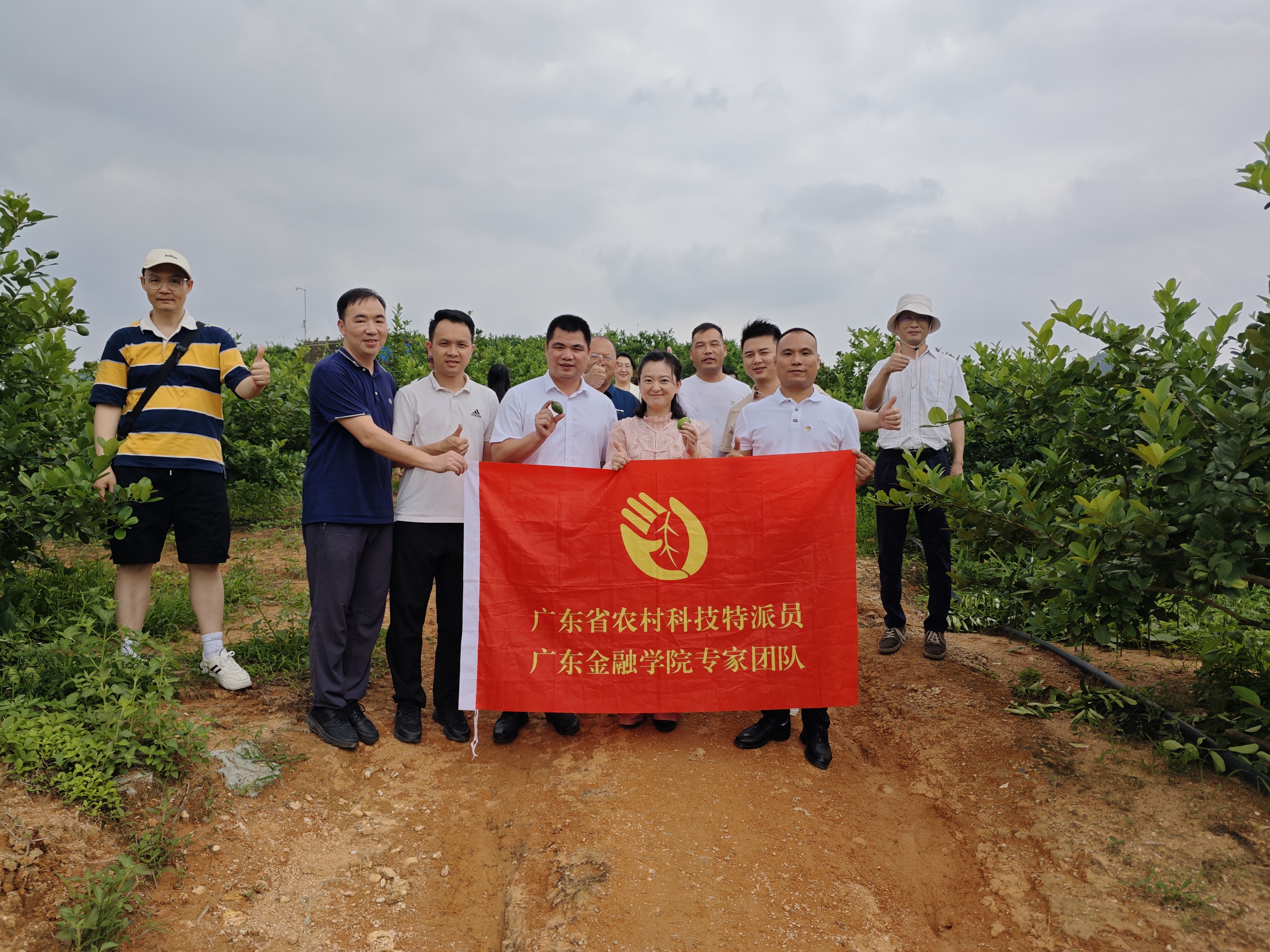党建共建联建活动是广东金融学院扎实推进“科技下沉基层”和“双百行动”的一次重要实践。它不仅为校地双方搭建了高效的合作平台，更通过科技特派员机制与“双百行动”的深度融合，探索了“科技+金融+企业”赋能县域、镇域高质量发展的创新路径。