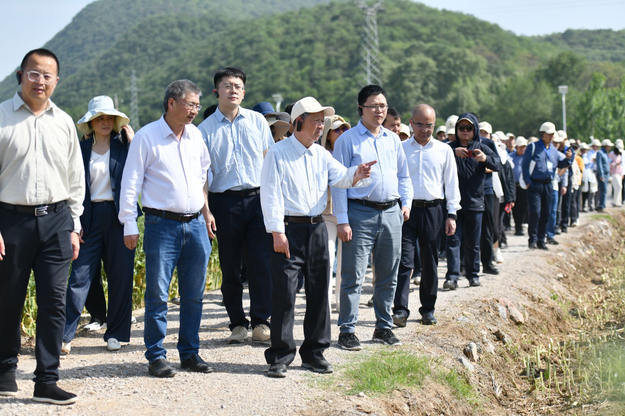 油菜团队党员教师跟随傅廷栋院士一行考察高产高油油菜新品种