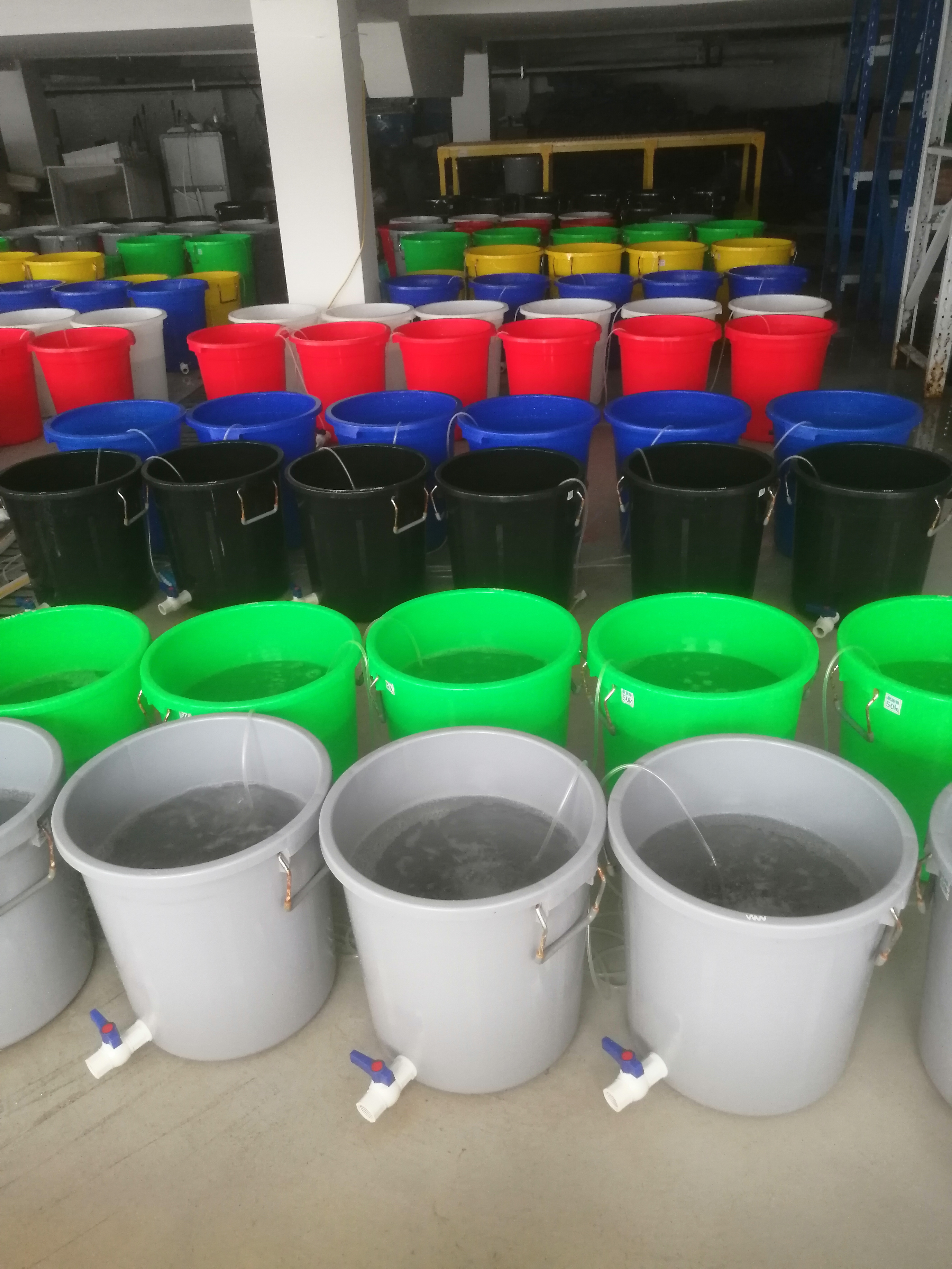 颜色对对蟹的影响