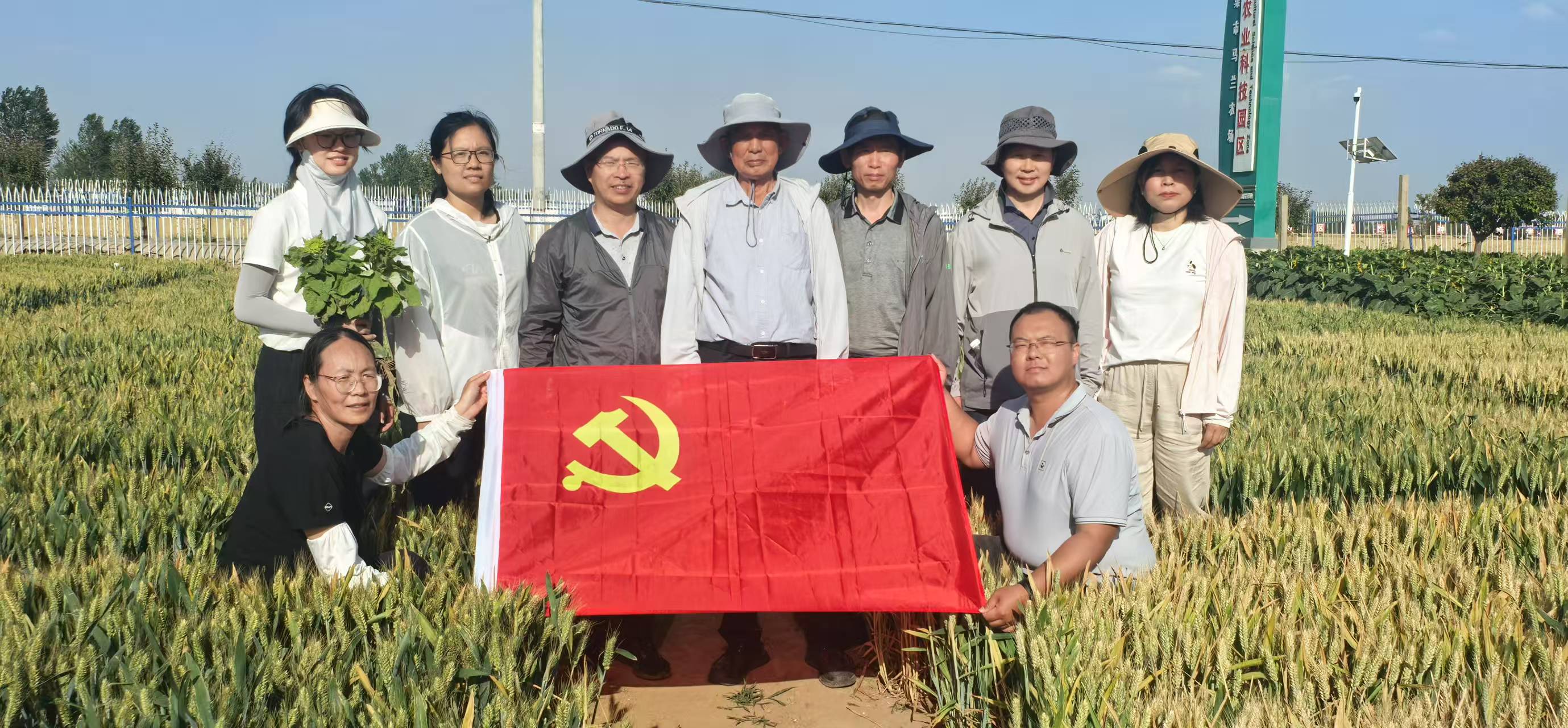 微信图片_2025-06-10_144930_946 微信图片_2025-06-10_144930_946