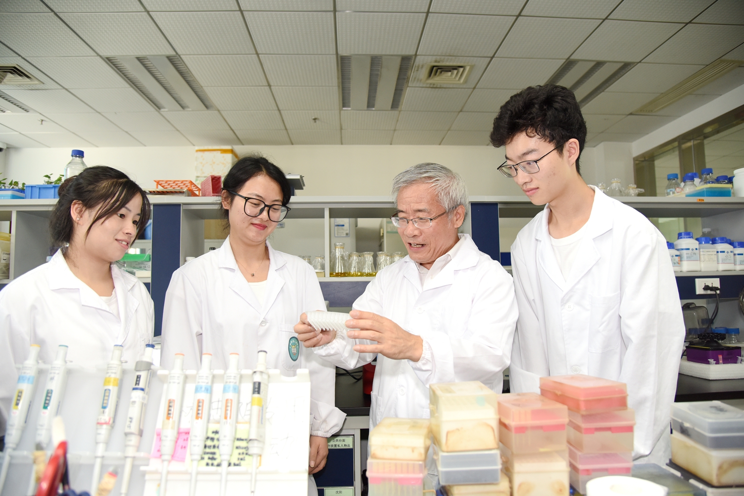张献龙教授指导学生开展实验