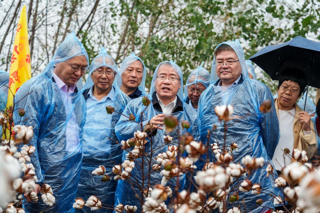张献龙院士现场介绍棉花团队教科产一体化研究成果