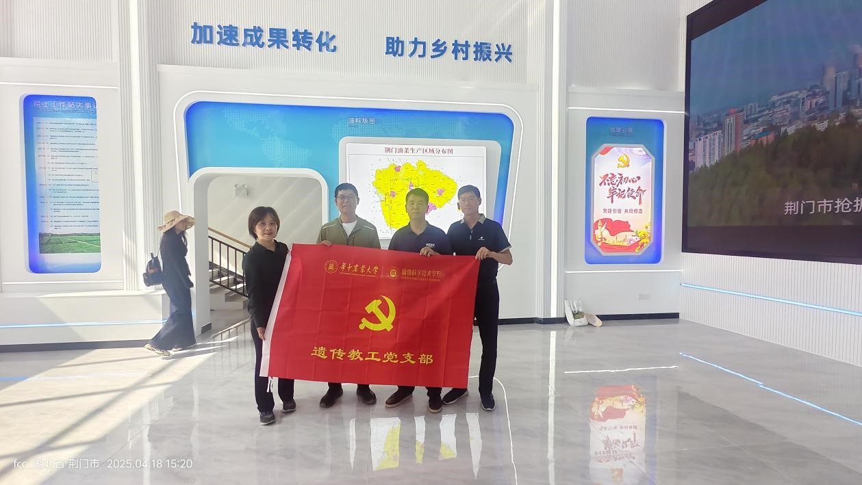 支部党员教师代表赴湖北荆门沙洋油菜示范基地开展“乡村振兴荆楚行”