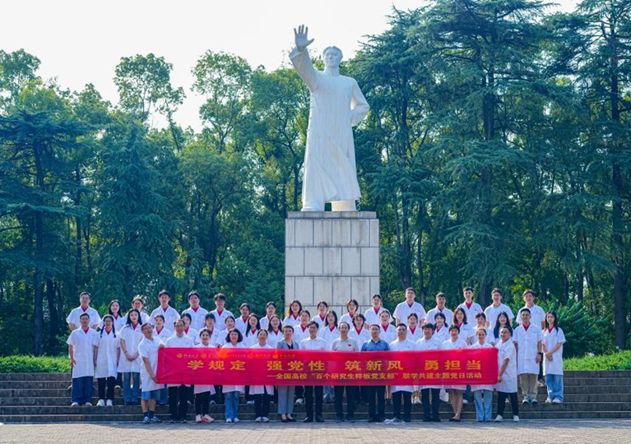 图片8