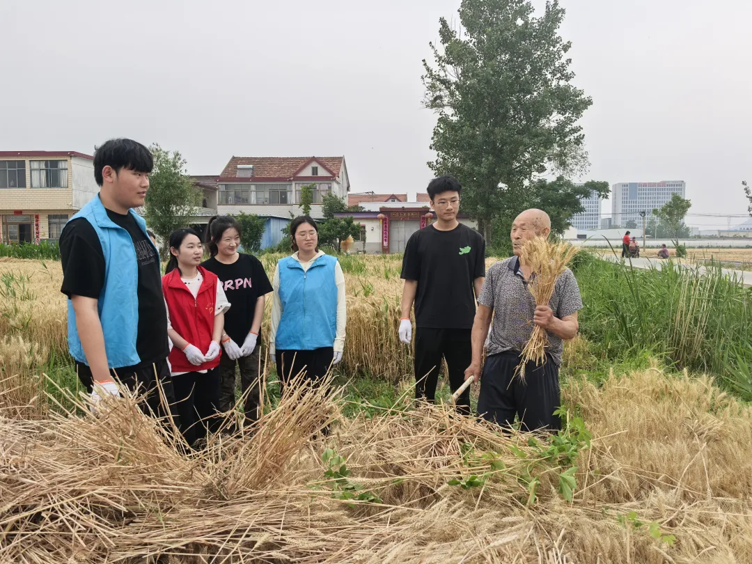 1130a1c1c124d2adfecb16010b262951-sz_6036392