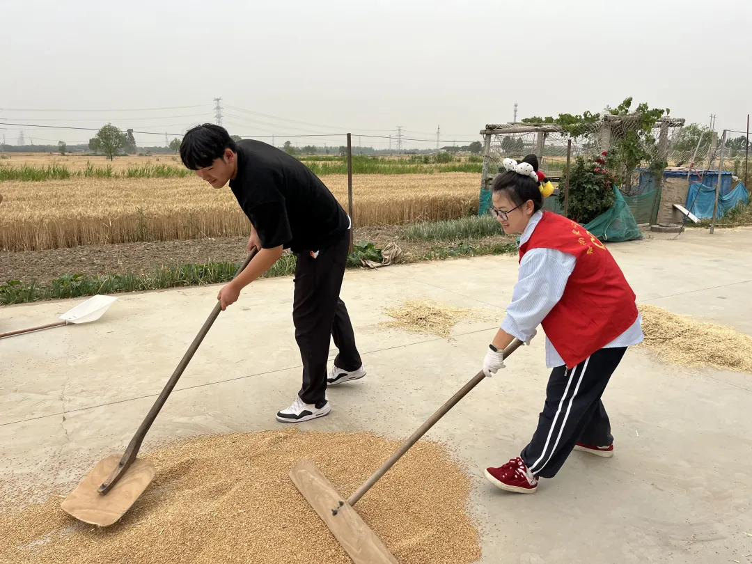 f688f788d698765f5dbe4dfb1d8e536f-sz_4036761