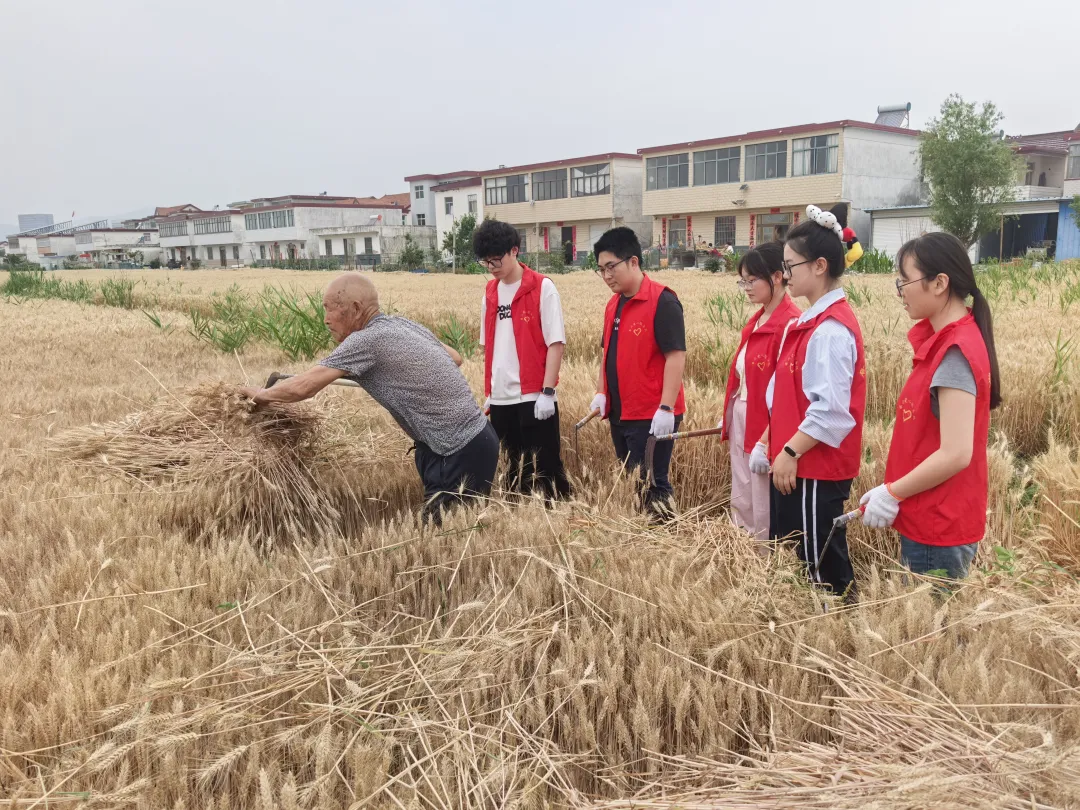 4ee0fd9522e865394841a3a3f3658cd5-sz_6167431