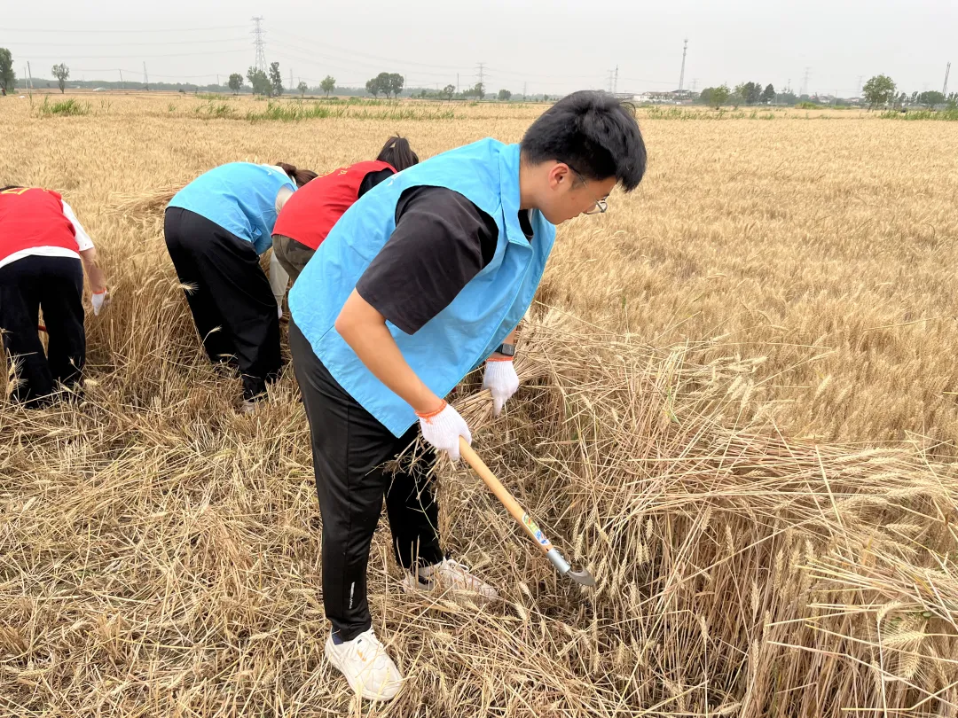 dbb4f8defa0cdcd0dc1709160a6dba14-sz_4988737