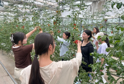 屏幕截图 2025-06-15 145449