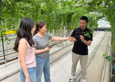 屏幕截图 2025-06-15 144637