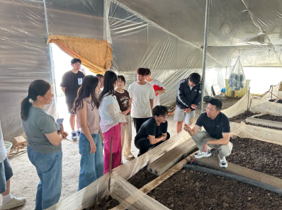 屏幕截图 2025-06-15 134344 屏幕截图 2025-06-15 134344