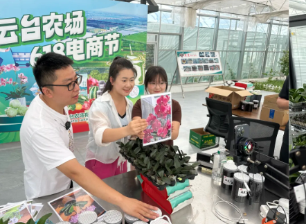 屏幕截图 2025-06-15 141640