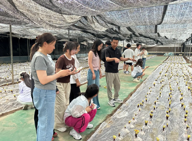 屏幕截图 2025-06-15 134411 屏幕截图 2025-06-15 134411