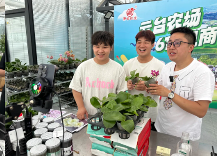 屏幕截图 2025-06-15 141824