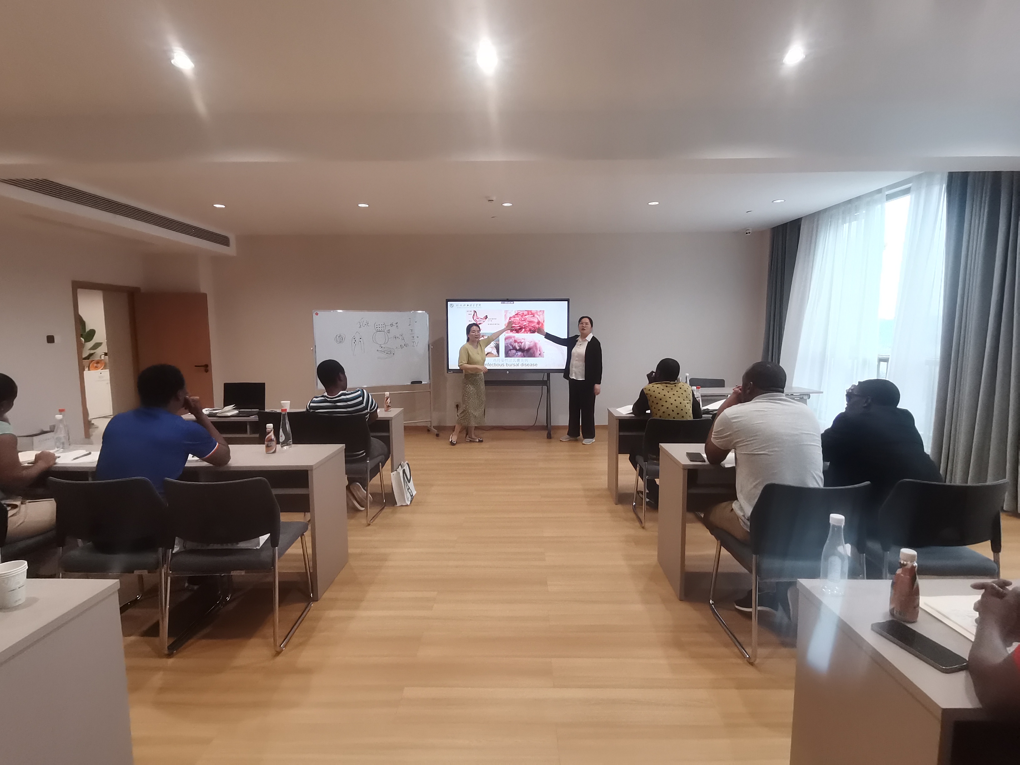 微信图片_20250616084333