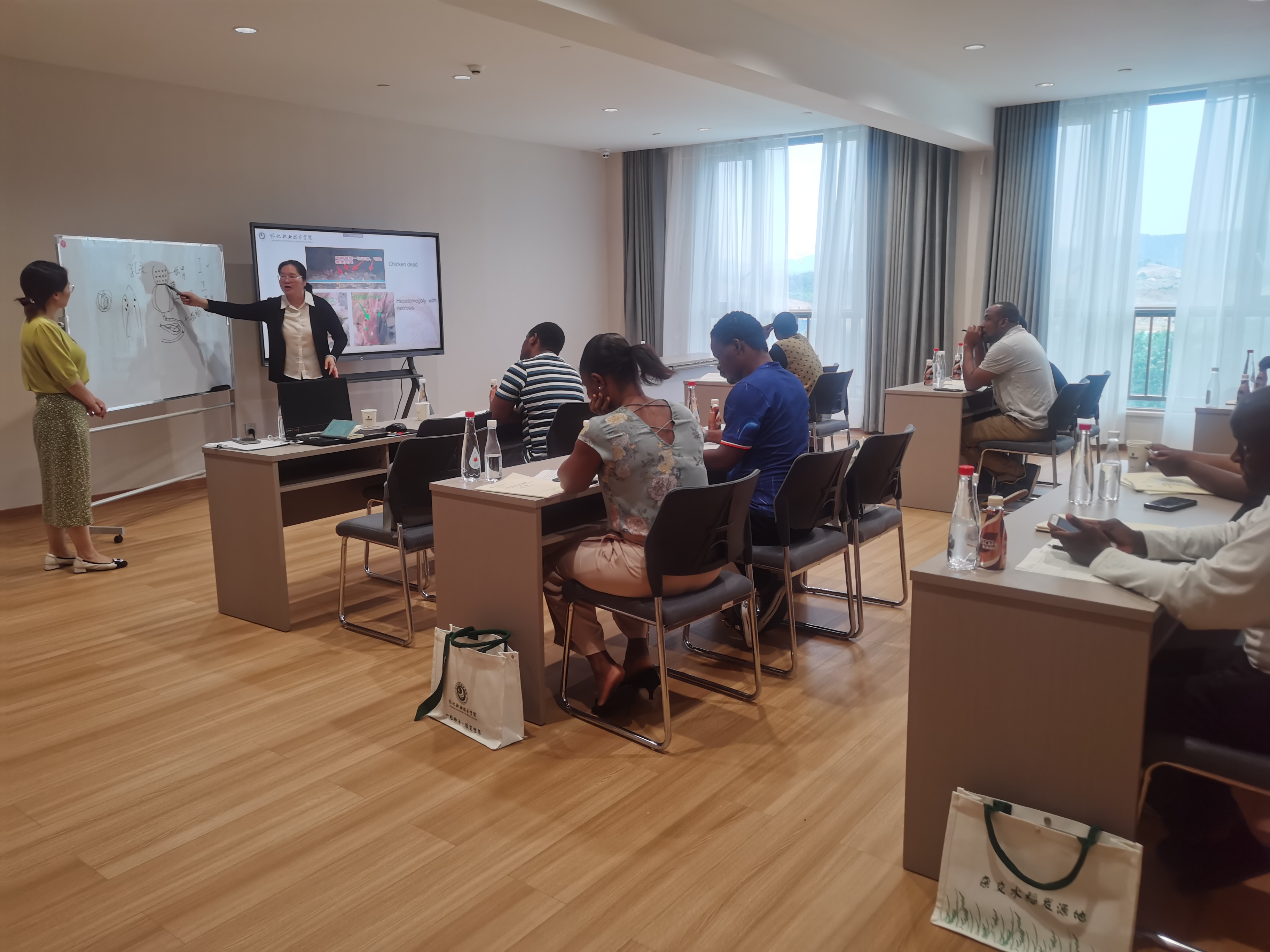 微信图片_20250613081739