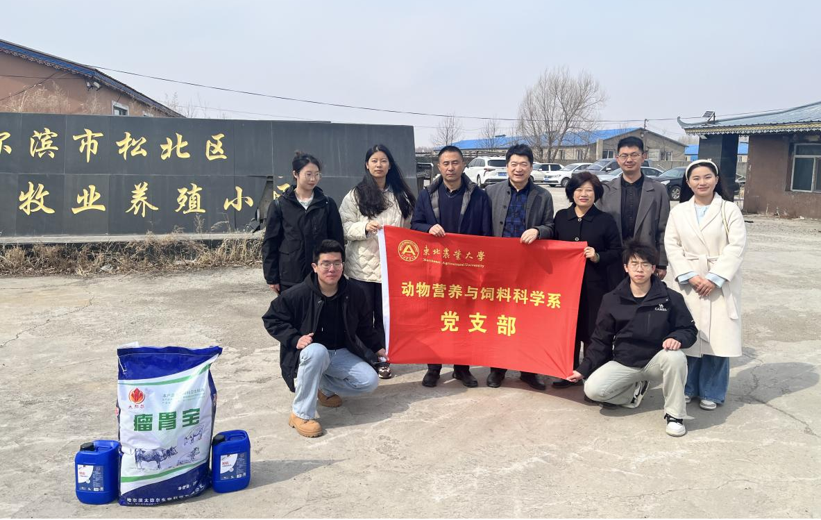 主题党日活动现场3