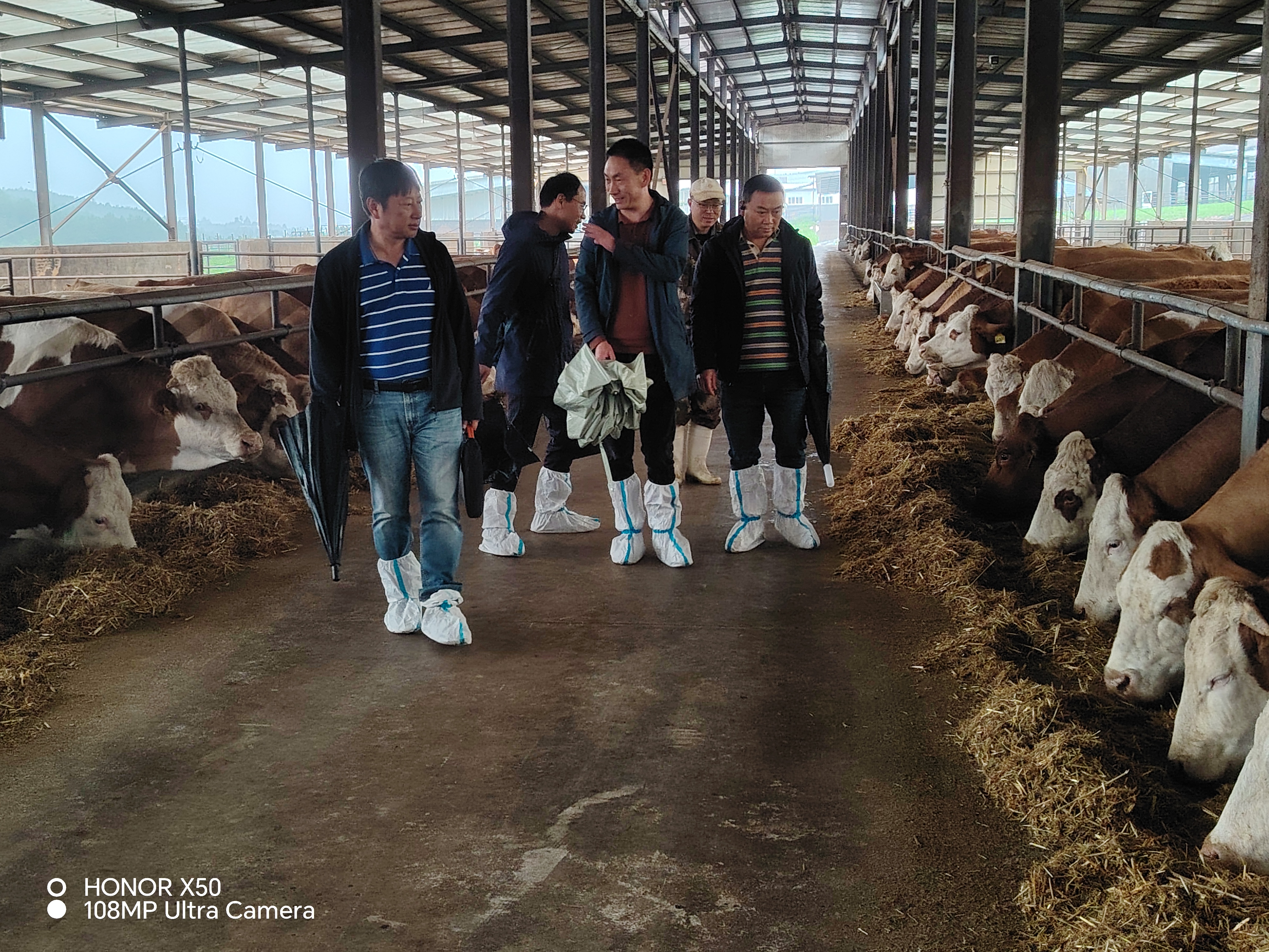 调研现场（二）