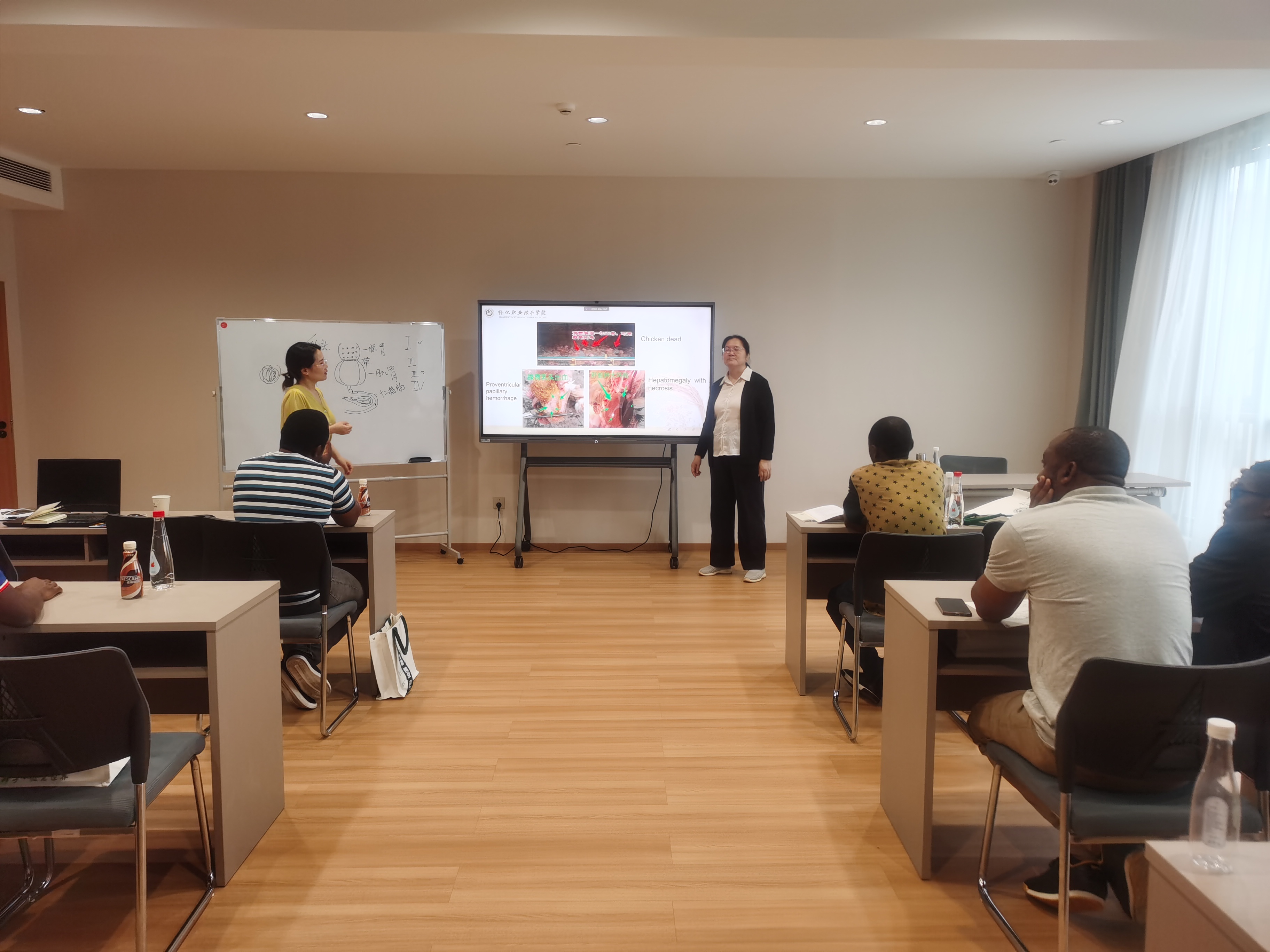 微信图片_20250616084331