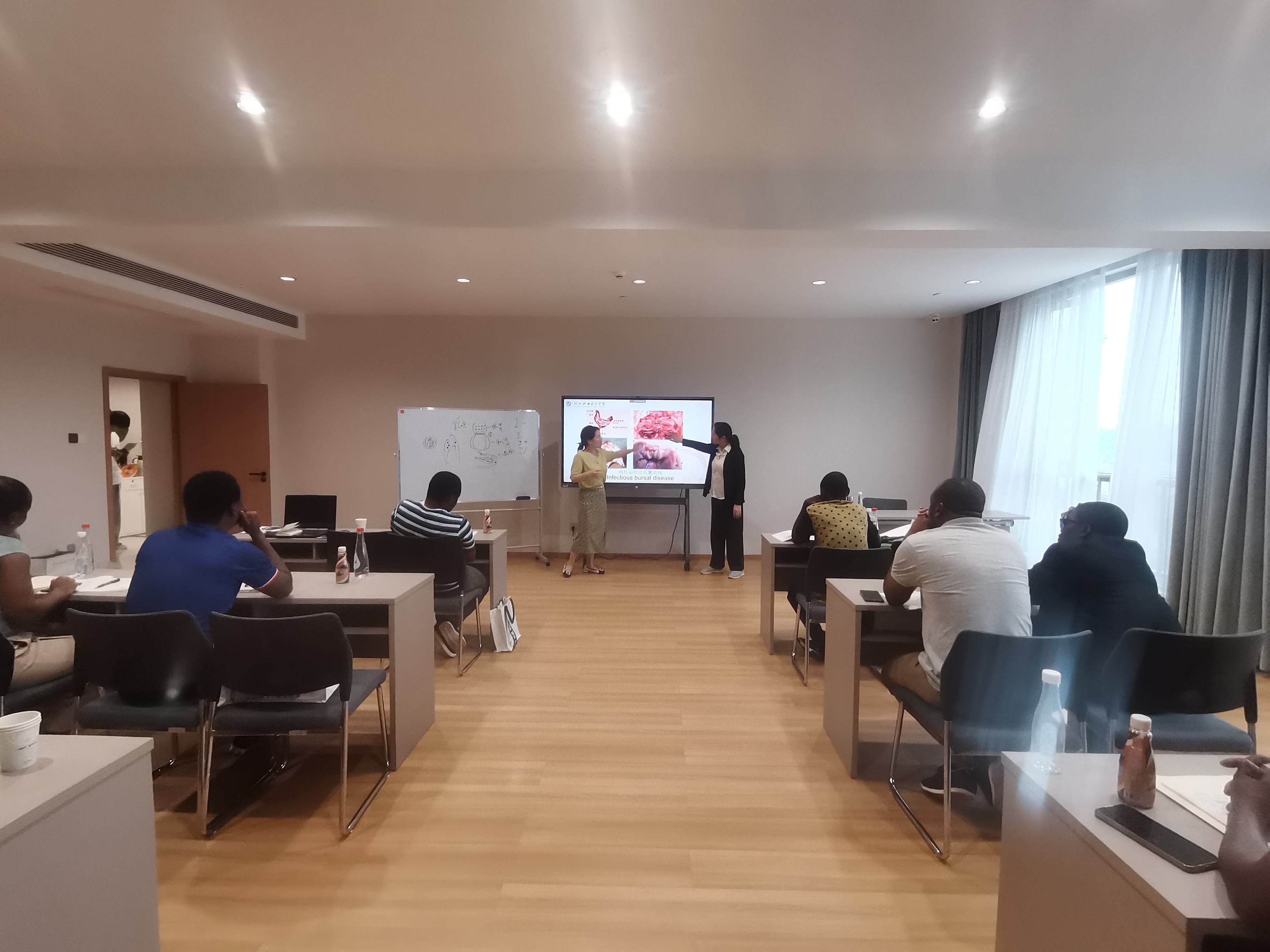 微信图片_202506130817402