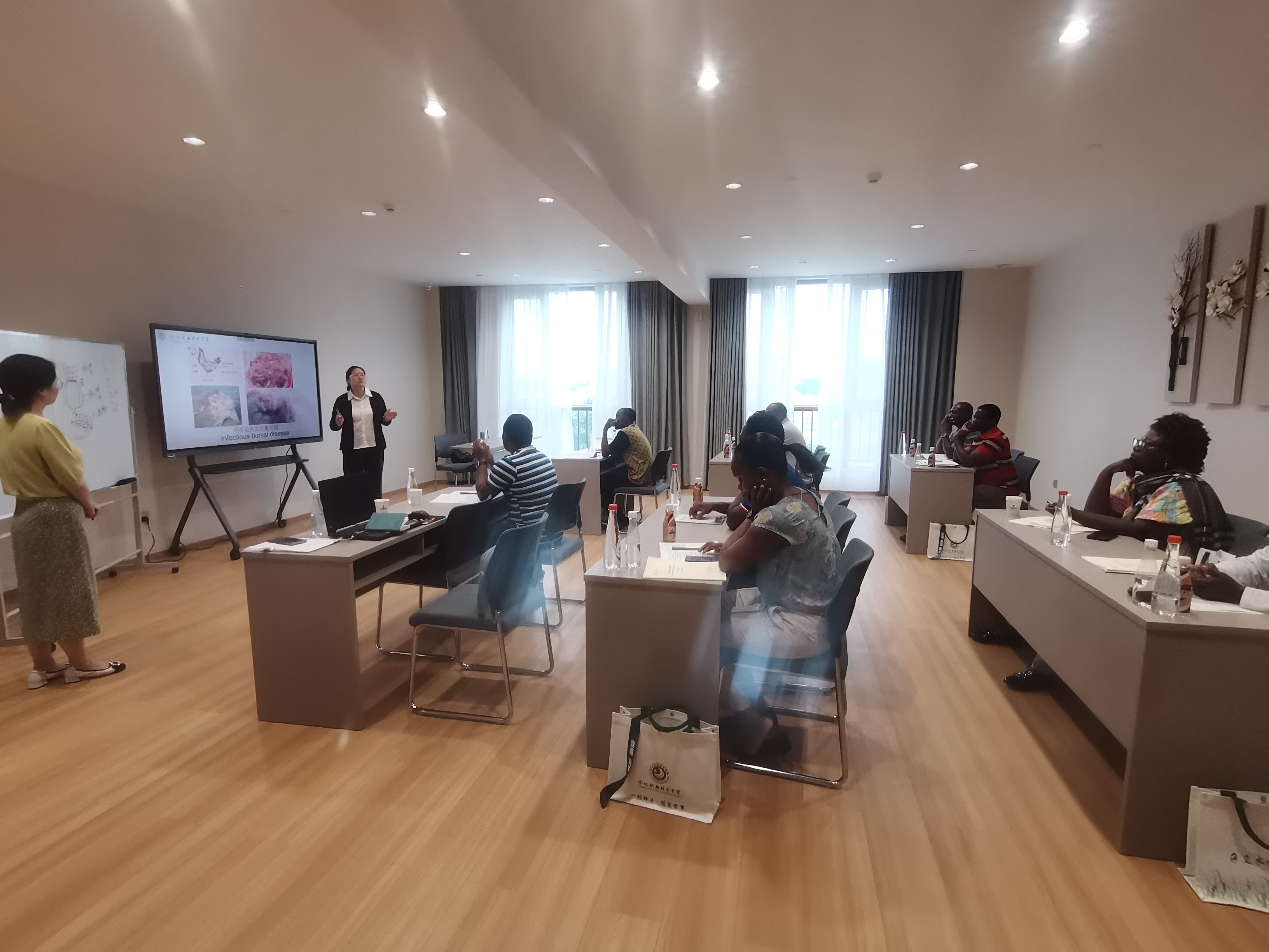 微信图片_20250613081738