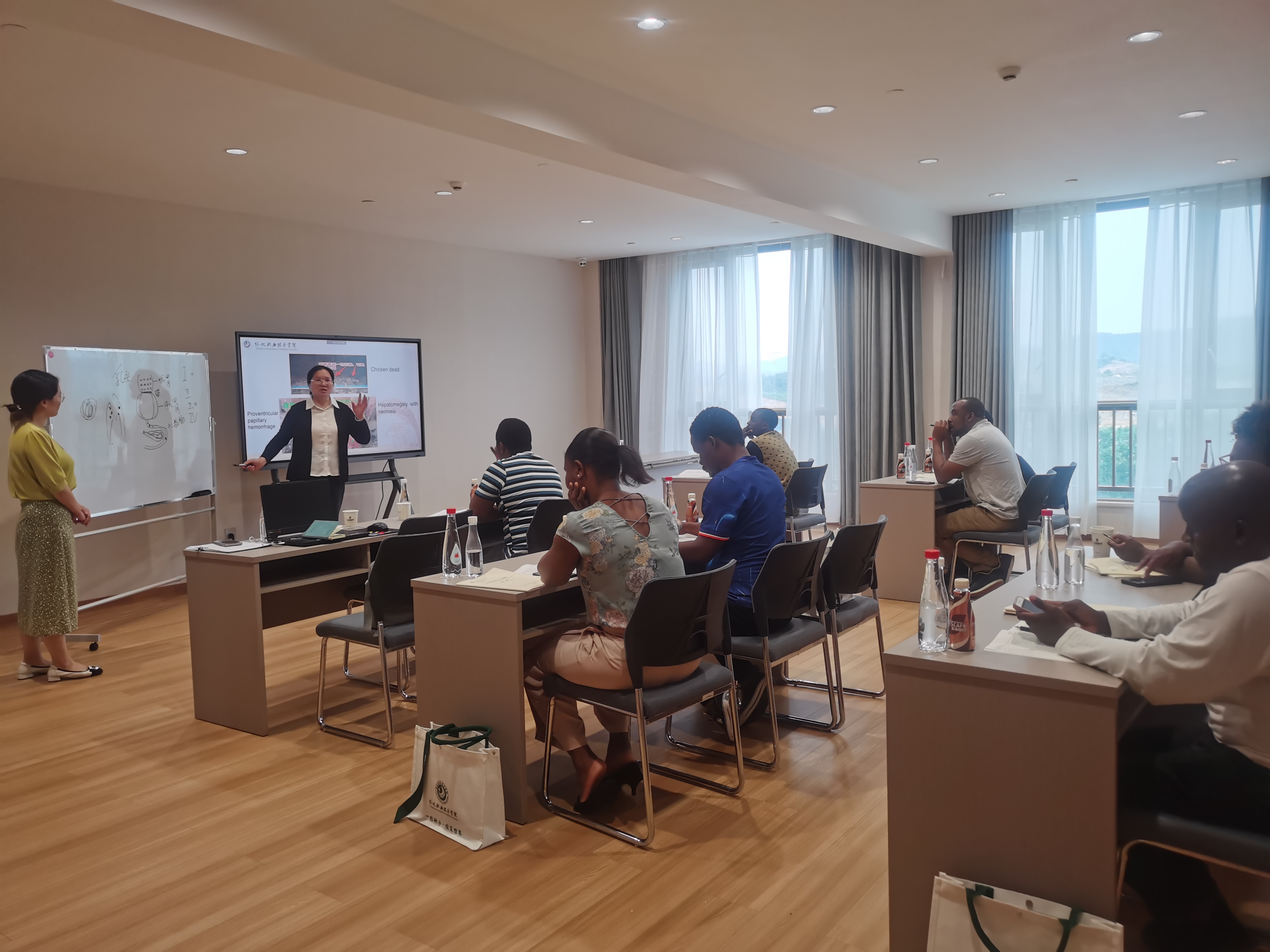 微信图片_202506130817391