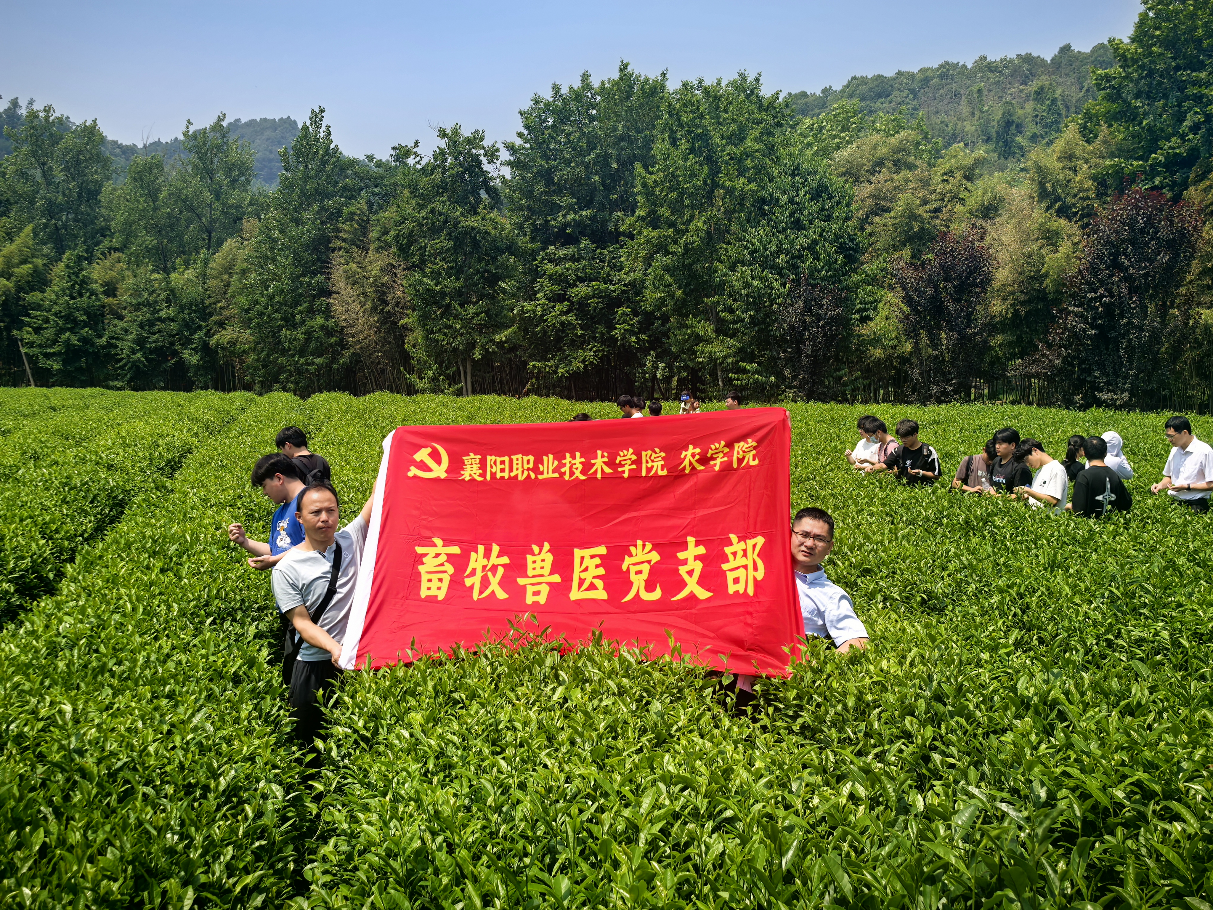 E68A6822714FB9D3865BF2159E4AE25A