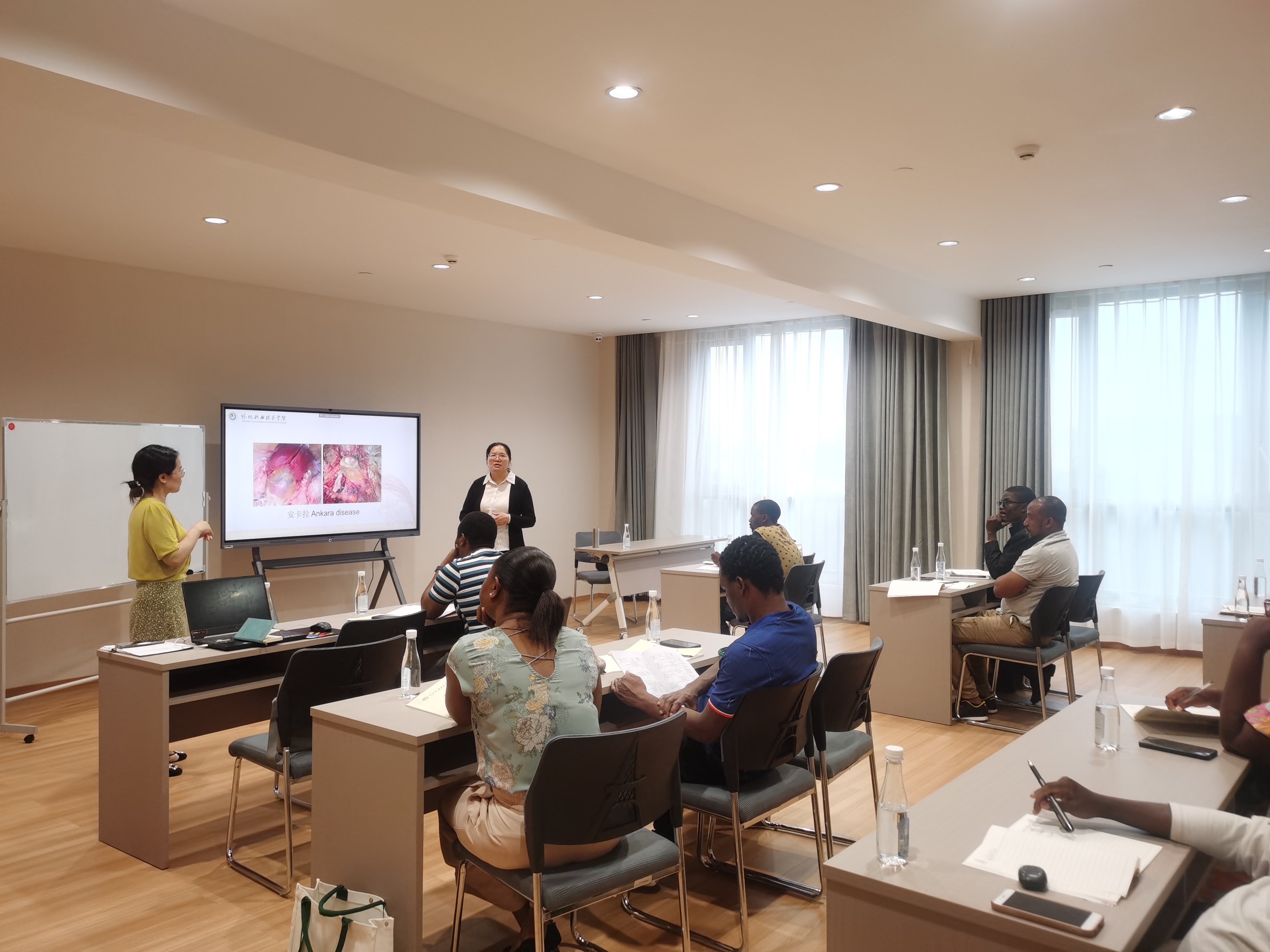 微信图片_202506130817401