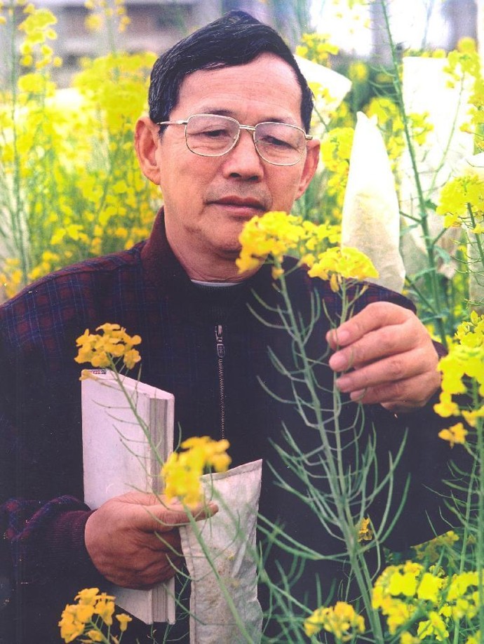 图片4