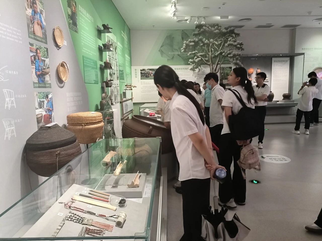 党员们了解黎族制药文化 党员们了解黎族制药文化