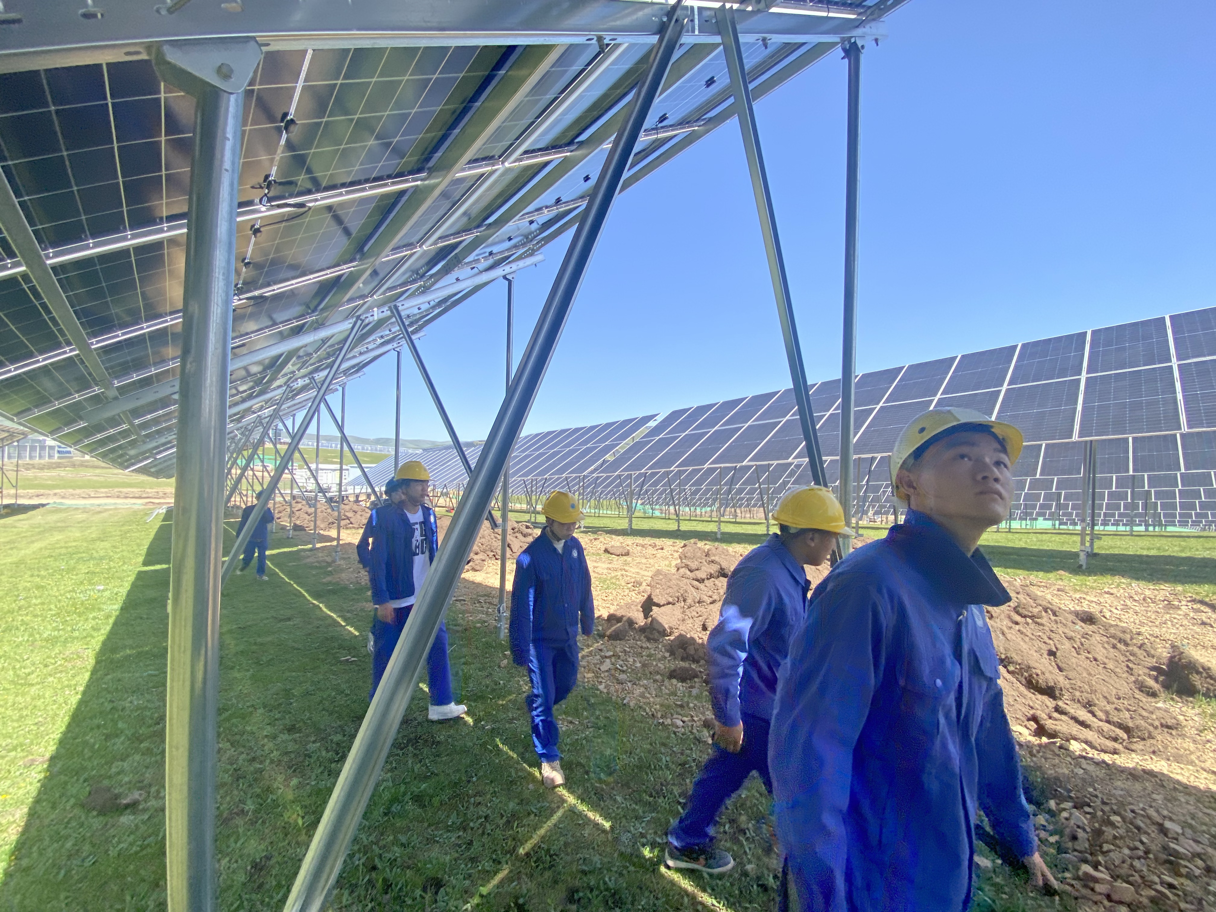 微信图片_20250622090250