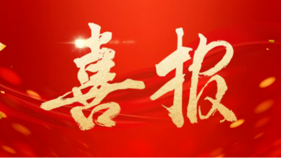 喜报 | 党建领航促成长，升学深造传捷报——教育技术学系教师党支部培养学生在考研考博中再创佳绩