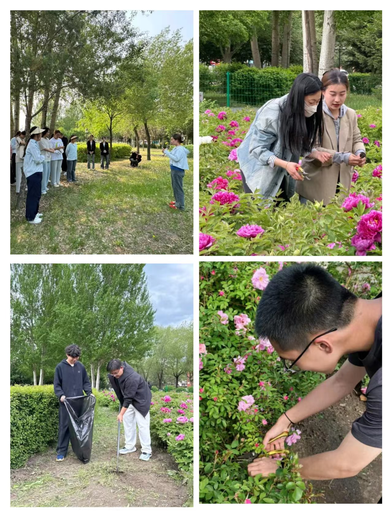 2899b5ae211e1d30589f38b6e77df6b