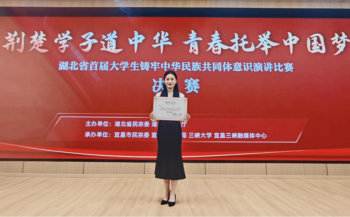 中华民族意识4
