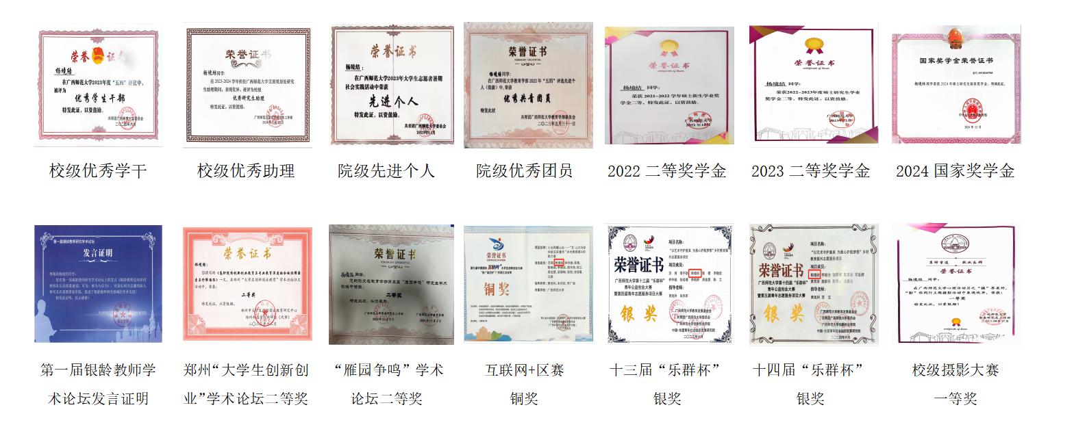 杨镜结奖项组合图word_01